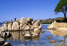 雷速体育比分官网直播-德国网球队横扫欧洲网坛,克耶高斯关键制胜引爆全场