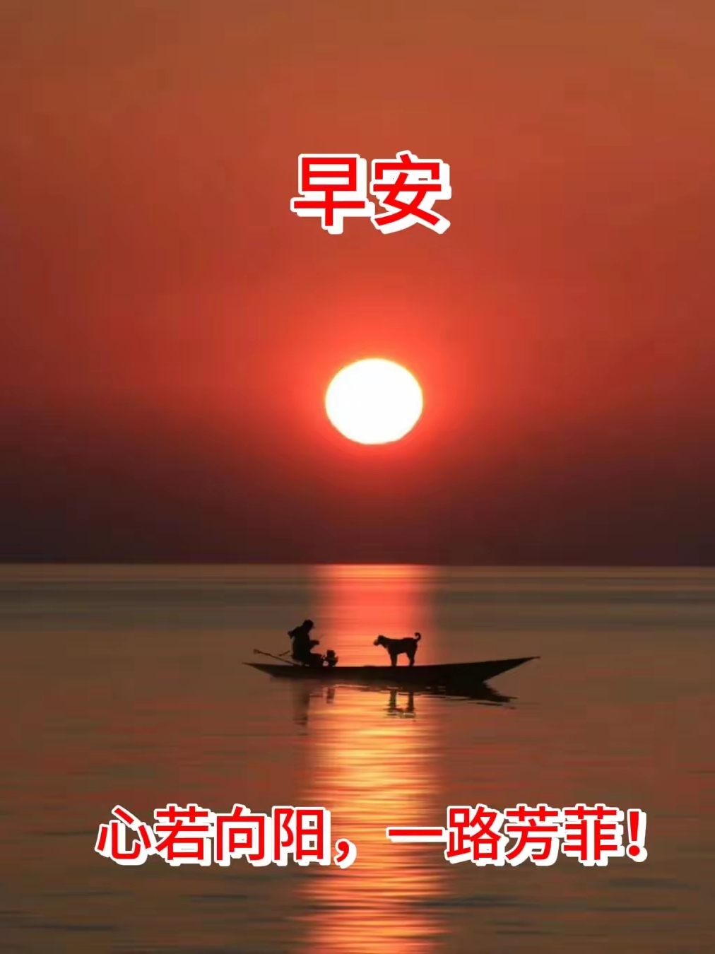 重返巅峰！球队勇敢前行，迈向更高荣誉